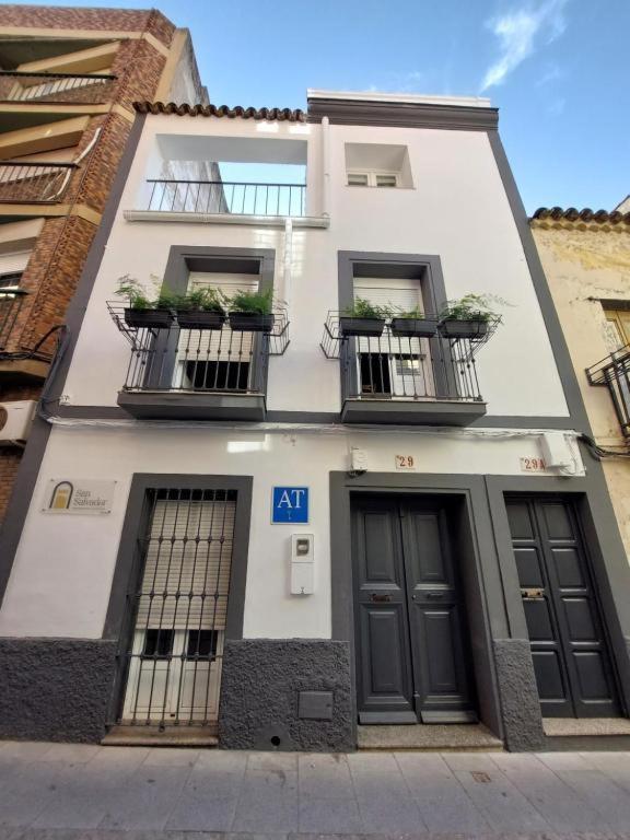 Apartamentos San Salvador Parking Gratis Mérida Zewnętrze zdjęcie
